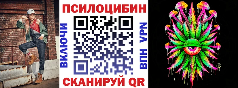 Галлюциногенные грибы Psilocybine cubensis  Камышин 